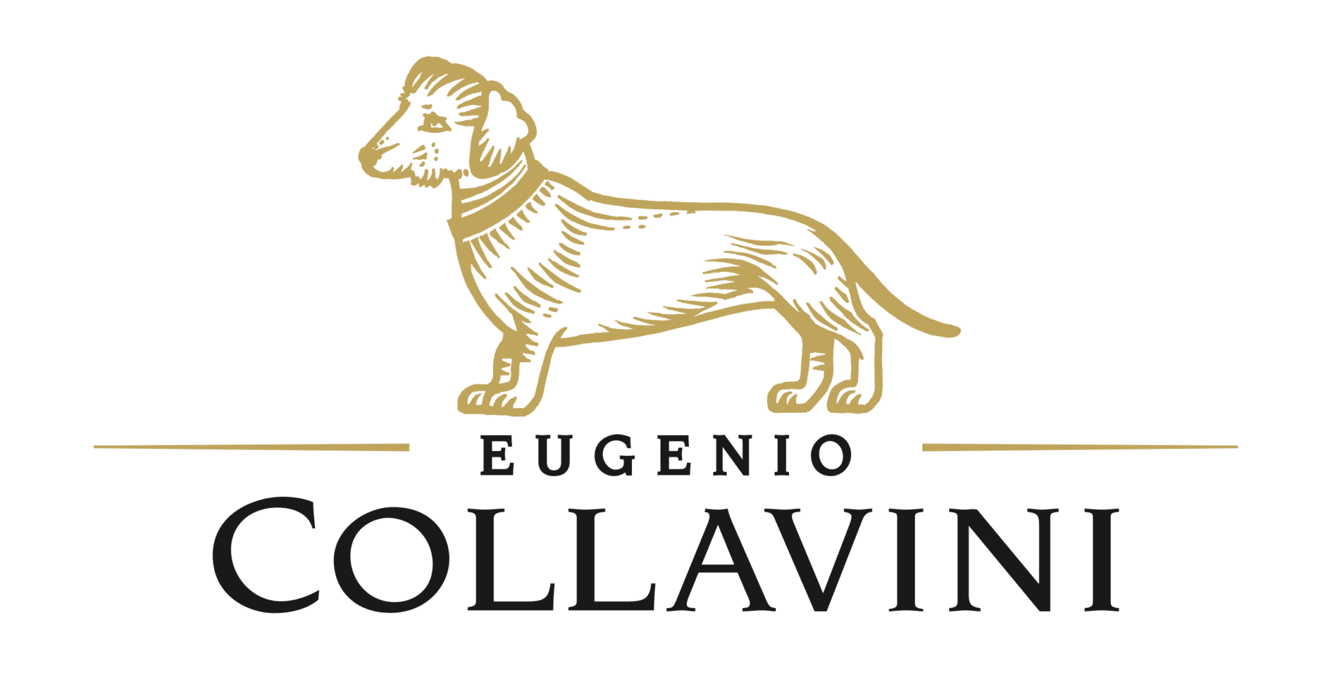 Collavini LOGO oro Collavini LOGO oro